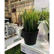 Upaya pengendalian gulma dan rumput liar juga bisa dilaksanakan dengan menanam rumput hias yang mampu melawan gulma tersebut. Tanaman Hias Dovano Fejka Tanaman Palsu Tiruan Artificial Dalam Pot Rumput Dovano Store Shopee Indonesia