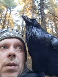 Walking Through The Woods with A Raven