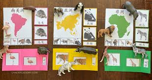 All of them are free. Montessori Animals And Continents Activities Chinese Korean English