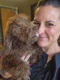 Who can do a lion shave