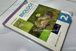 Buku biologi kelas 10 penerbit erlangga pdf irnaningtyas ilmusosial id. Pembahasan Soal Soal Buku Biologi Erlangga K 13 Untuk Sma Ma Kelas X Blog Pak Pandani