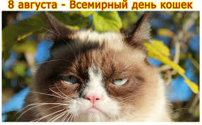 В этот день в россии и мире отмечают 30 праздничных события, в том числе 1 церковный праздник по православному календарю. Otkrytki Kartinki Gif Smajliki Otkrytki Vsemirnyj Den Koshek Pozdravlyaem Vas Pozdravleniya Otkrytki Prazdniki Avgusta 8 Avgusta Vsemirnyj Den Koshek Skachat