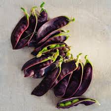 Each packet contains 200 seeds. Beauregarde Snow Pea Row 7 Seed Company