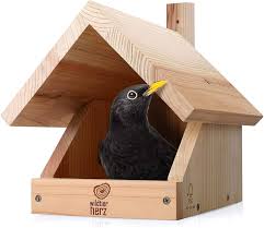 Image result for Flyte Blackbird Nest Box