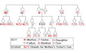 A Great Diagram Of The Alphabetical Relationship Codes Used