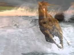 Wonderful Life Panflute Youtube