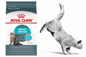 New Royal Canin Cat Food Diet To Support Urinary Health 2020 07 09 Pet Food Processing
