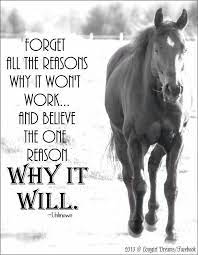 Horse Quote Inspirational Horse Quotes Horse Quotes Horse Riding Quotes
