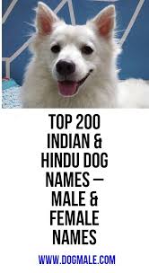 Pin On Dog Names