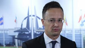 The first hungarian forces to i fought against the germans, hungarians and romanians. Hungarian Fm To Blinken Orban Is A Fighter For Democracy Euractiv Com