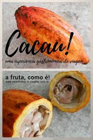 Sabores Exoticos A Fruta Do Cacau Receitas Com Cacau Receitas Receitas Internacionais