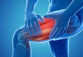 Image result for Muscle Weakness