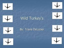 From tricky riddles to u.s. Work With Your Table To Answer The Following Trivia Questions About Turkey S Ppt Download