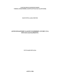 Image result for Pseudoeriosema borianii