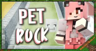 If you want to install minecraft forge then you need to be playing. Petrock Forge Mod 1 16 5 1 15 2 1 12 2 Minecraft Mods Pc