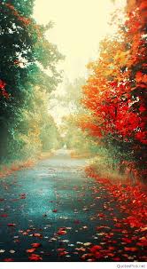 خلفيات ايفون 7 وايفون 7 بلس Ios10 Wallpapers Hd Tecnologis Fall Wallpaper Nature Wallpaper Beautiful Tree