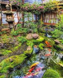 Create great digital art on your favorite topics from celebrities to. Professional Hair Styling Tools And Equipment Japanese Garden Koi Pond Design Ponds Backyard