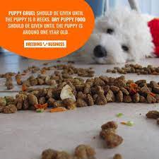Large breeds should be fed unmoistened dry food by 9 or 10 weeks; How Long Do Dogs Eat Puppy Food Age Transition Methods