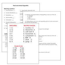 A plants have a cell wall and choloplast b plants have vacuole and nucleus c plants have a nuleus and mitochondria d plants have a nucleus and a cell membrane. Plant And Animal Cell Organelles Flashcards Quiz And Crossword Puzzle