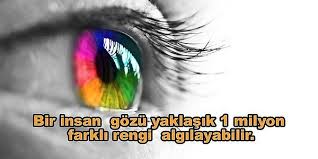 Allah Belki Buyuk Bir Ev Vermemis Ama Idareli Kullan Diye Zeka Vermis Tadinda 26 Tasarim Onedio Com Kitap 30 Yasinda Tarifler