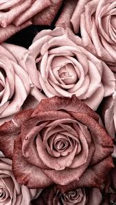 We have a massive amount of hd images that will make your computer or smartphone. Love Indie Flowers Nature Rose Girl Cute Iphone Https Weheartit Com Entry 328788613 Rose Gold Wallpaper Rose Gold Aesthetic Gold Wallpaper
