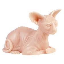 Sphynx cats are a breed of hairless cat that people seem to be completely repulsed or overwhelmingly won over by. Tattoo Skin Practice Naked Cat Wildcat Deutschland