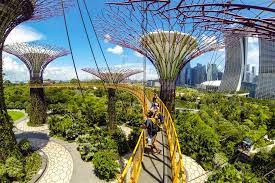 Gardens by the bay comprises three distinct waterfront gardens: Was Zu Sehen Und In Singapur Gardens By The Bay