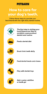 How to care for dogs teeth. How To Clean Your Dog S Teeth At Home Petbarn Articles