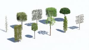 The unique shape of this boxwood spiral tree makes it an interesting and attractive topiary decoration. New Sale Laubwerk Plants Kit 16 Temperate Topiary Trees Update To Player And Surfacespread Toolfarm