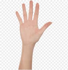 Download Five Finger Hand Png Images Background Toppng Download hands transparent png image for free. download five finger hand png images