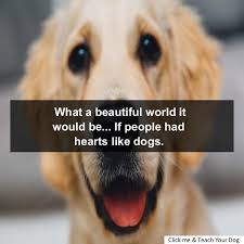 Explore other popular pets near you from over 7 million businesses with over 142 million reviews and opinions from yelpers. Dog Training Camp Near Me Guide Dog Training Dogs Dog Training