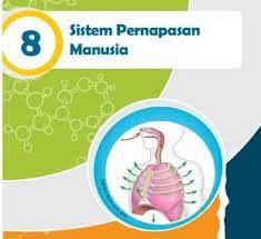 We did not find results for: Kunci Jawaban Ipa Kelas 8 Halaman 76 77 78 Uji Kompetensi Bab 8 Sistem Pernapasan Manusia Wali Kelas Sd