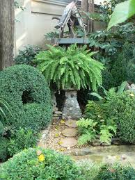 Plantas Verdes Samambaias E Elementos Decorativos De Pedra No Jardim Pequeno Farne Garten Garten Kleiner Garten
