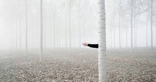 craving desires stranger things vacuite photographie