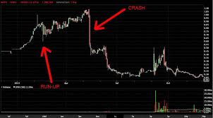 Ecrypt Technologies Inc Investors May Cry When It Crashes