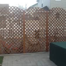 Woodland green garden vinyl lattice. Climbing Vine For Lattice Trellis