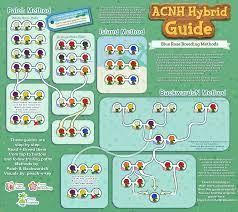 New horizons, as they can only be consistently bred from special red roses with a particular genetic makeup. Created A Blue Rose Breeding Infographic This Shows Multiple Different Methods That All Lead To The Same Percent Chance So Choose What Works For You Animalcrossing