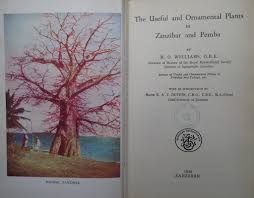 Image result for Monanthotaxis buchananii