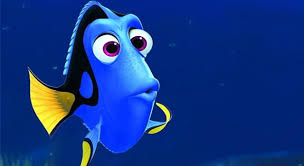 Whether you have a science buff or a harry potter fanatic, look no further than this list of trivia questions and answers for kids of all ages that will be fun for little minds to ponder. What Type Of Fish Is Dory From The Trivia Questions Quizzclub