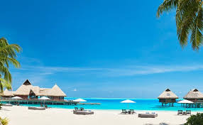 The things to know before you go. Best Offers Bora Bora Tahiti Low Price Offers Find Cheap Flights Hotels Holidays And Cruises