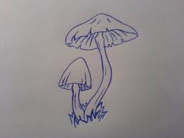 Color ink simple mushroom tattoo on arm. 30 Simple Mushroom Tattoos Small Nature Tattoo Mushroom Tattoos Nature Tattoos