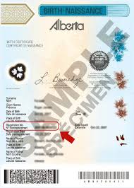 The infographic is packed with trivia on the couple's relationship, from the date they first met to the number of days they've been engaged (1,681). Where Is My Status In Canada Document Number