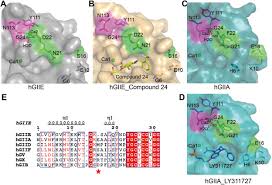 Minecraft resource packs customize the look and feel of the game. The Atypical Binding Mechanism Of Second Calcium On Phospholipase A2 Group Iie Sciencedirect