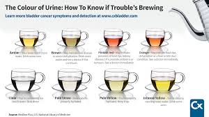 I know a couple of you are saying, i'm not taking a look in the bowl after! Cxbladder Cxbladder Twitter