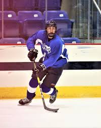 Pin By Owen Grainger On Ayhl All Star Game 2019 All Star Stars