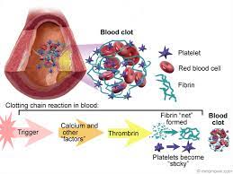 Blood Clot