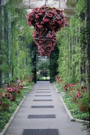 Longwood Gardens Acacia Passage Longwood Gardens Urban Garden Garden In The Woods