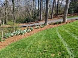 Legacy landscaping has excelled where all others have faltered. Lawn Care Winston Salem How Is Your Yard Looking Legacy Landscapes Tree Service