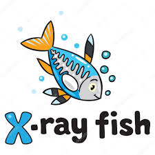 Googl) weiterhin mit buy ein und senkt das kursziel von. X Ray Fish For Abc Alphabet X Stock Vector Image By C Passengerz 59227103