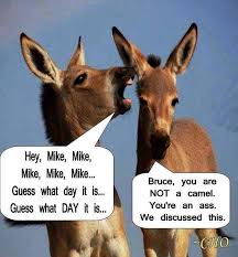 Guess What Day It Is Pictures Photos And Images For Facebook Tumblr Pinterest And Twitter